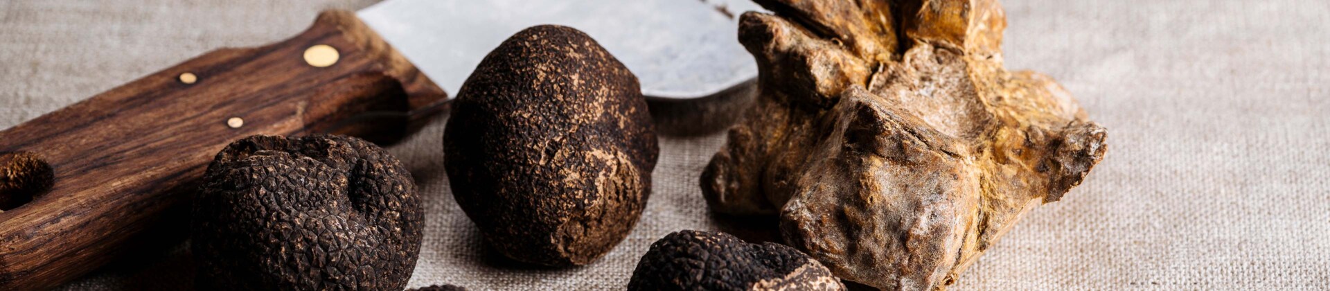 Witte en zwarte truffel